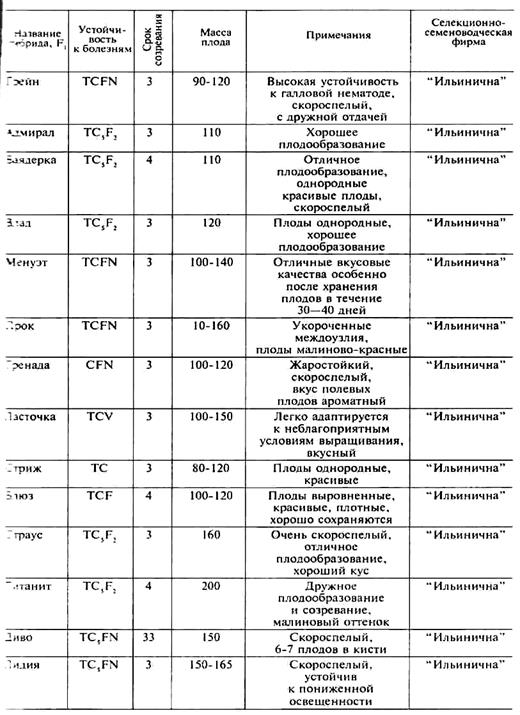 гибриды томата для защищенного грунта - student2.ru