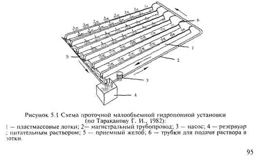 гидропонный метод выращивания растений - student2.ru
