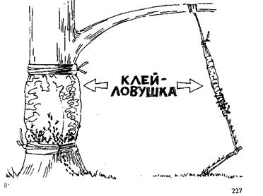 глава 12. защита вместо борьбы - student2.ru