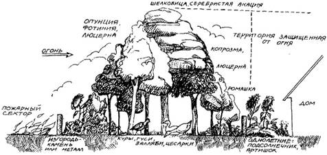 и хранения воды в засушливом климате - student2.ru