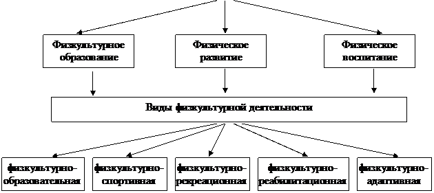и основные направления развития физической культуры и спорта - student2.ru