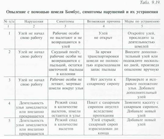 использование шмелей для опыления томата - student2.ru