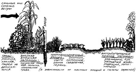 кулинарные травы возле кухни - student2.ru