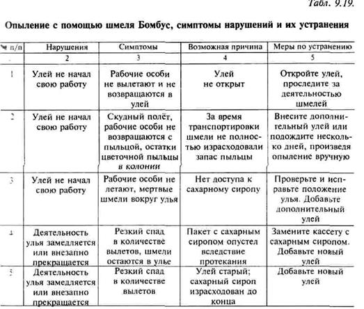 культура томата на цеолитовом - student2.ru