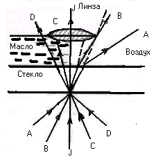 Устройство светопольного микроскопа - student2.ru