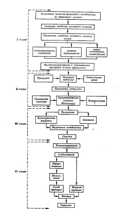 Методы культивирования продуцентов антибиотиков - student2.ru