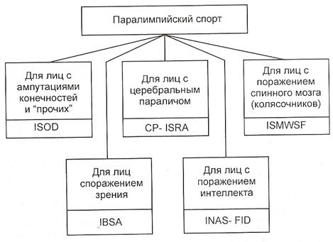 международное спортивное движение лиц - student2.ru