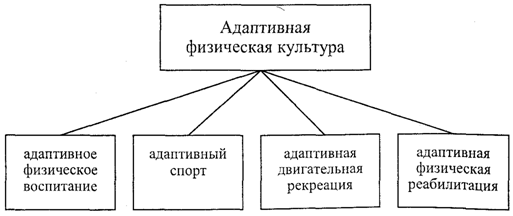 понятие адаптивной физической культуры. адаптивный спорт для лиц с интеллектуальными нарушениями. - student2.ru