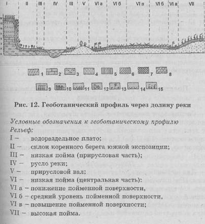 Практические работы на учебных геоботанических - student2.ru