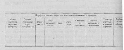 Практические работы на учебных почвоведческих экскурсиях - student2.ru