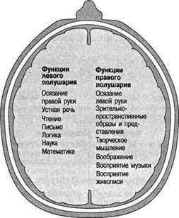 Развитие личности на втором году жизни - student2.ru