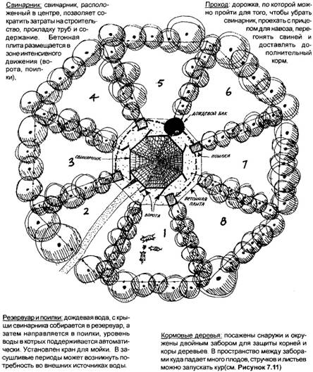 система куриного трактора в тропиках - student2.ru