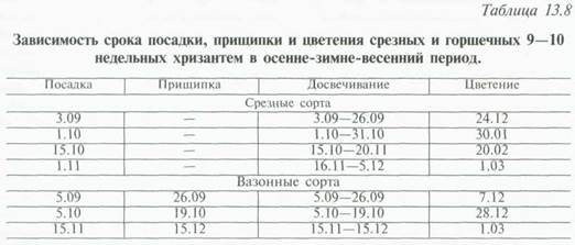 технология выращивания хризантем (метод управляемого цветения) - student2.ru