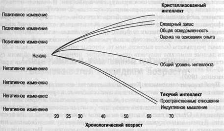 Текучий и кристаллизованный интеллект - student2.ru