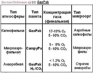 Фазы развития бактериальной популяции - student2.ru