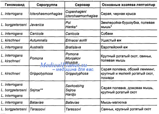 Тема: Возбудитель лептоспироза - student2.ru