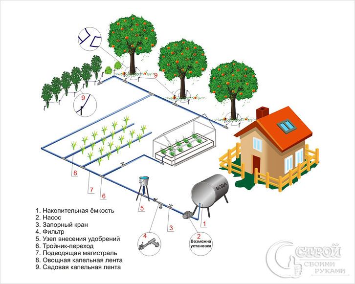 Устройство капельного автополива. Как сделать систему автополива на даче - student2.ru