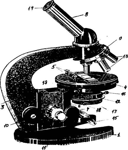 Устройство светопольного микроскопа - student2.ru