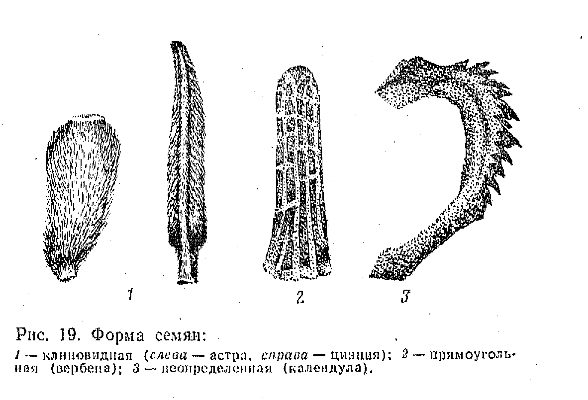 Заочная и заочная ускоренная форма обучения - student2.ru