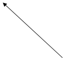 Polysemy. Semantic Structure of the Word (SSW) - student2.ru