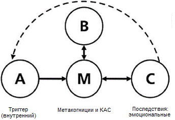 Сфокусированность на метакогнитивных процессах - student2.ru