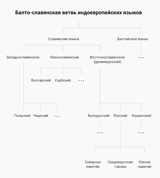 Особенности лексики, обозначающей посуду - student2.ru