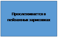 как писать сочинение по литературе? - student2.ru