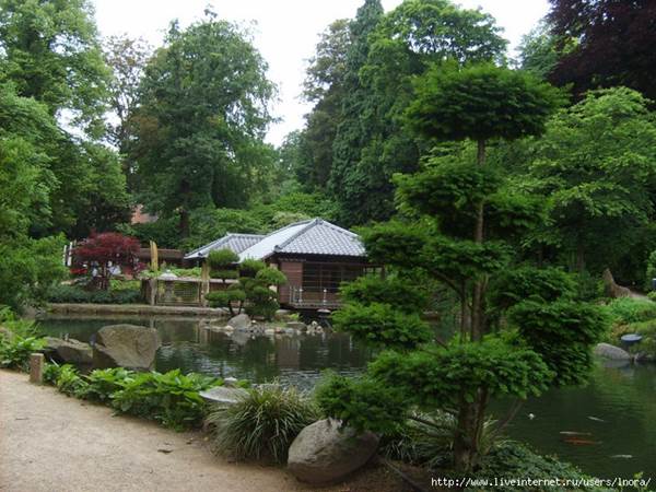 Японский сад чайной церемонии - student2.ru