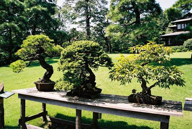 Японский сад чайной церемонии - student2.ru