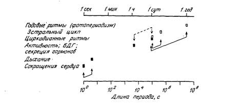 Биологические ритмы. В 2-х т. Т. 1. Пер. с англ.  - student2.ru