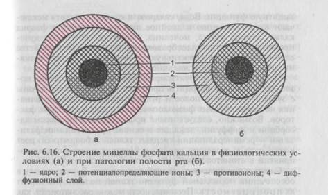 Биологические жидкости полости рта - student2.ru