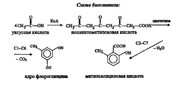 Биосинтез фенольных соединений - student2.ru