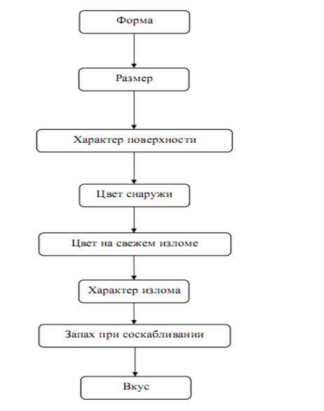 блок-информация - student2.ru