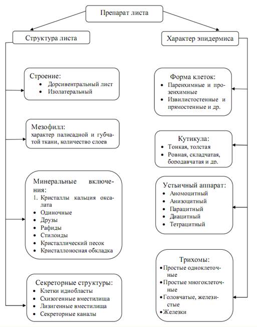 блок-информация - student2.ru