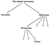 Четко и нечетко поставленные задачи - student2.ru