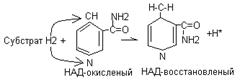 Дегидрогеназы - student2.ru