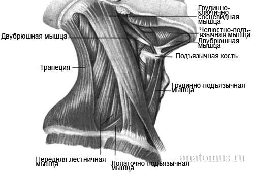 домашняя контрольная работа - student2.ru