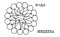 фундаментальные функции липидов. - student2.ru
