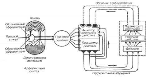 Функциональная система поведения - student2.ru