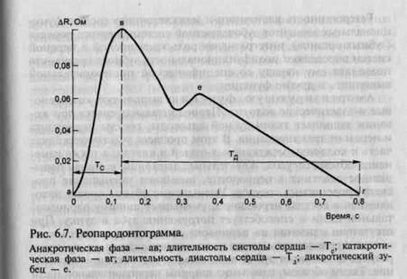 Функциональные элементы зубочелюстной системы - student2.ru