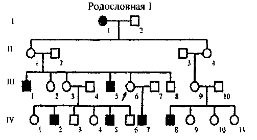 Генеалогический метод. Анализ родословной. - student2.ru