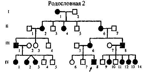 Генеалогический метод. Анализ родословной. - student2.ru