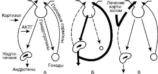 Генетически обусловленные дефекты биосинтеза гормонов - student2.ru