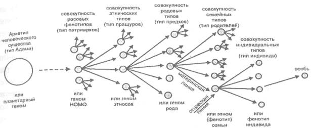 Генетического материала ядра (по А. Н. Мосолову) - student2.ru