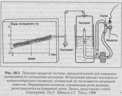 глава 10 обменвеществ и энергии - student2.ru