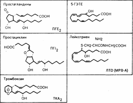 Глава 68. Метаболиты арахидоновой кислоты и их роль в медицине - student2.ru