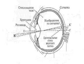 Глаз как оптическая система. - student2.ru