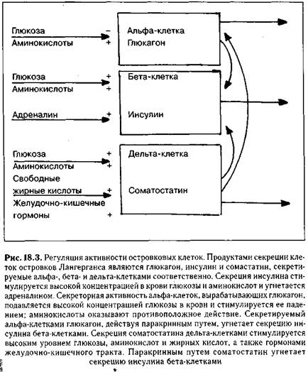 гормоны поджелудочной железы - student2.ru