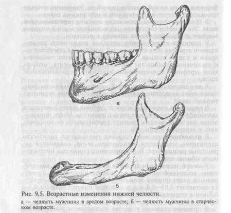 Изменения зубов и пародонта - student2.ru