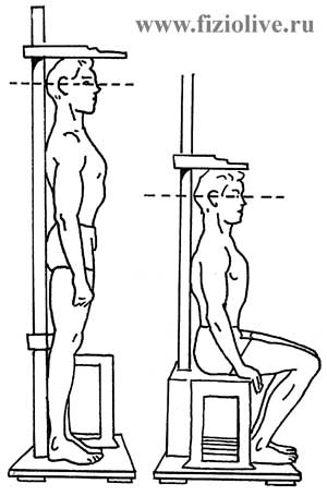 Измерение роста в положении стоя и сидя - student2.ru